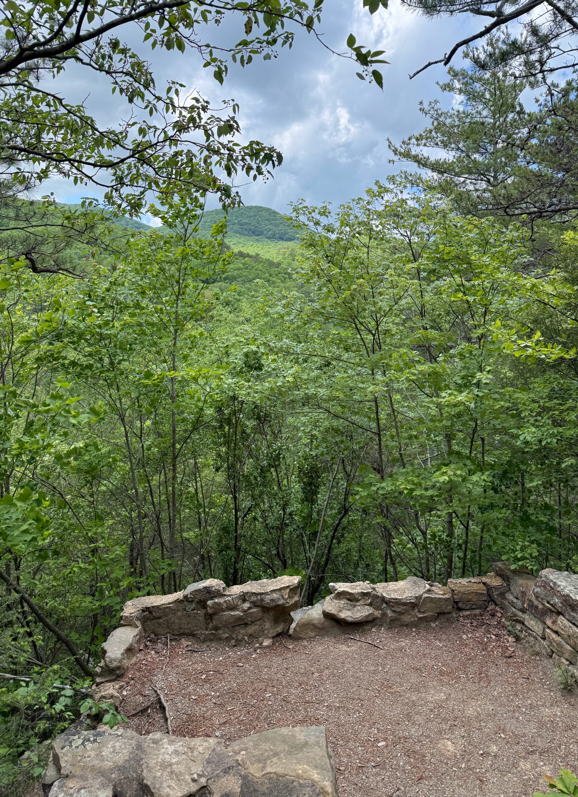 Roaring Run scenic overlook view