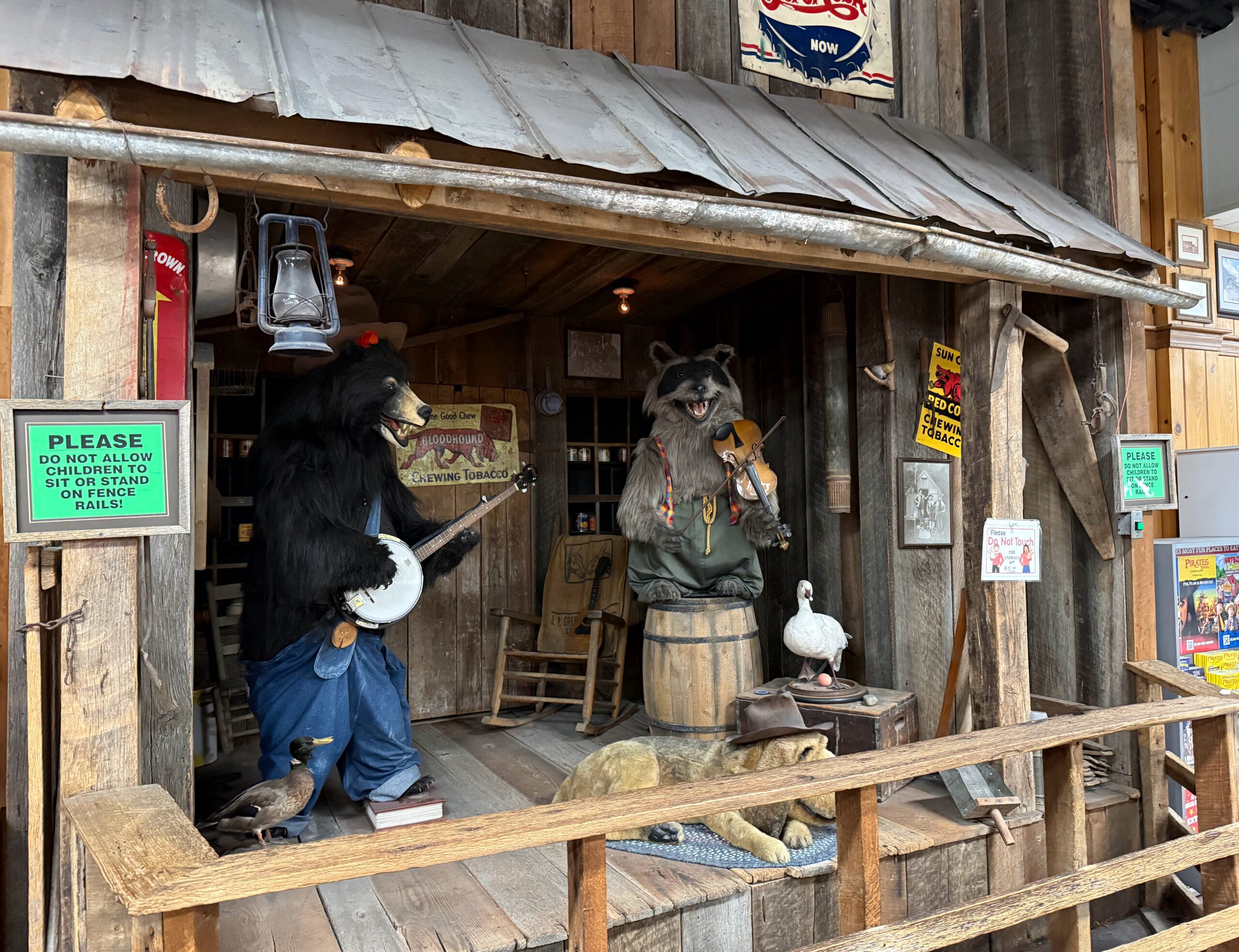 Animal Band Display